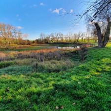 Teich Othal 2020